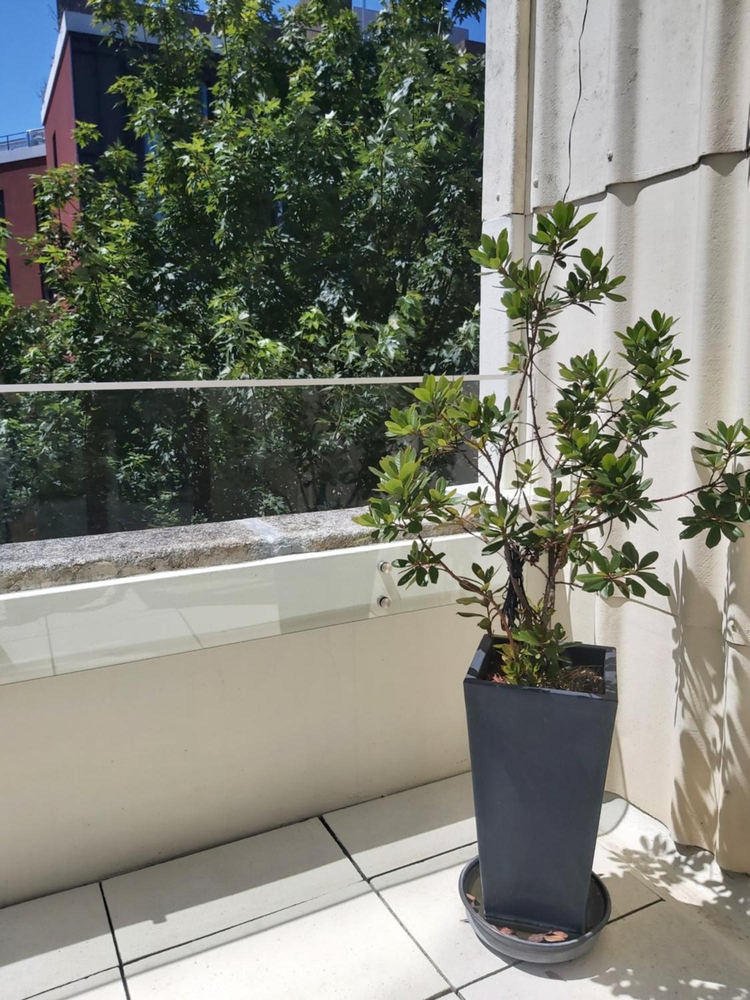 Porto Terrace Apartment Exteriér fotografie